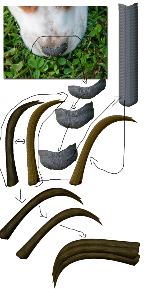 Creation of Breeze of Dawn: Step 10